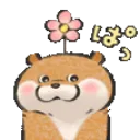 ottcute