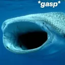 GASP