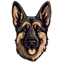 German_Shepherd