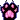 black_paw