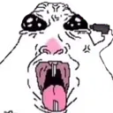 hampterKMS