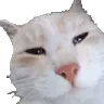 w_vwtf