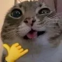 cat_chill