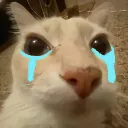 lolsad