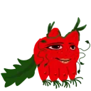 BooTomato