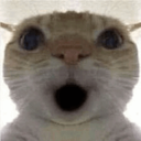 Shockedcat custom emote | The GOON haunts me