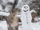 zoo