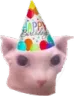 ccgg_bingusbirthday