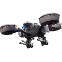 wasp