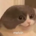 CatMelvin