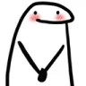 sf_shy2