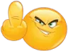 vsfdr
