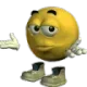 1132161869688340530