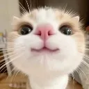 emoji_16