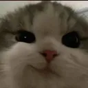 mirks Discord sticker - 𝓶𝓲𝓼𝓽