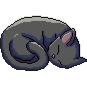 CatSleep