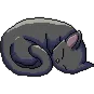 CatSleep