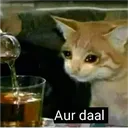 aur_daal_bournvita