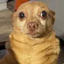 wow