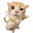 HUHCAT Discord sticker from ˗ˏˋ ★-Peace Island-★ ˎˊ˗ {hangout/Vc/chatting/community}