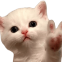 peacecat Discord sticker from ˗ˏˋ ★-Peace Island-★ ˎˊ˗ {hangout/Vc/chatting/community}