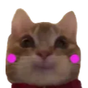 SwagBlush