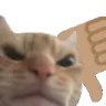 catthumbsdown