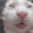 66566bugga