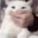 emoji_24