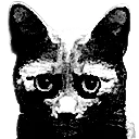 CriminalOffensiveStare