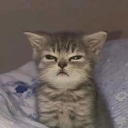 download32 custom emote | ˗ˏˋ ★-Peace Island-★ ˎˊ˗ {hangout/Vc/chatting/community}