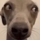 side_eye