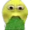 JoePuking