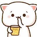 nomnom nomnom