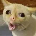 sneeze Discord sticker | Fruitful Friendship Forum