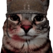 soldjacat Discord Emoji from Fruitful Friendship Forum