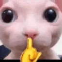 bingusshush Discord Emoji - Fruitful Friendship Forum