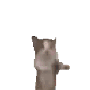 happy animated GIF emoji from Fruitful Friendship Forum