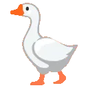 quack