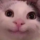 cutesmilecatmeme Discord Emoji - SKYFLOW ESPORTS