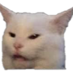 pbcatmeme Discord Emoji | SKYFLOW ESPORTS
