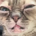 gumbusSCRUNCH gumbusSCRUNCH
