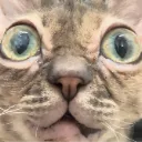gumbusWHAT gumbusWHAT