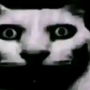 drebby Discord sticker from ˗ˏˋ ★-Peace Island-★ ˎˊ˗ {hangout/Vc/chatting/community}