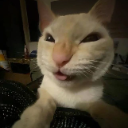 download2 Discord sticker from ˗ˏˋ ★-Peace Island-★ ˎˊ˗ {hangout/Vc/chatting/community}