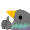 pigeonlikeok