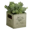 4you_plant