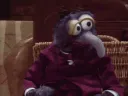 ExcuseMeWhatTheFuck ExcuseMeWhatTheFuck