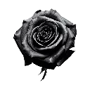 blackyyy