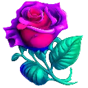 flowerr